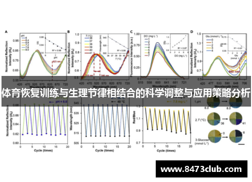 体育恢复训练与生理节律相结合的科学调整与应用策略分析